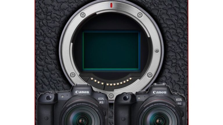 Canon a publié la liste des améliorations EOS R5 et EOS R6