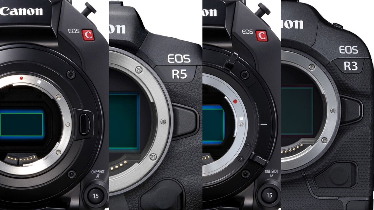 Canon EOS C300 Mark III, EOS C500 Mark II, EOS R3 et EOS R5.