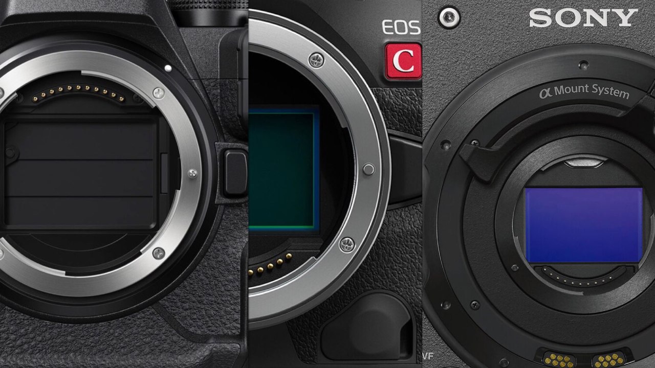 Canon EOS R5 C, Nikon Z9 et Sony VENICE 2.