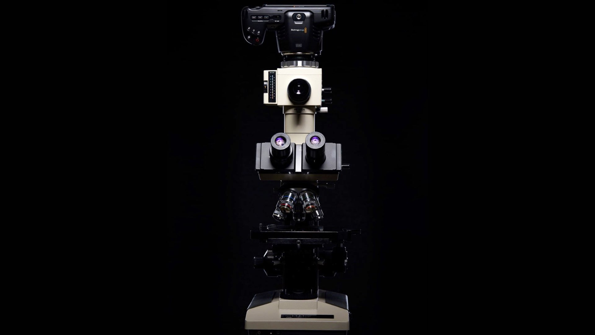 Blackmagic Pocket Cinema Camera 6K associée à un microscope.  Photo : Matt Weddis