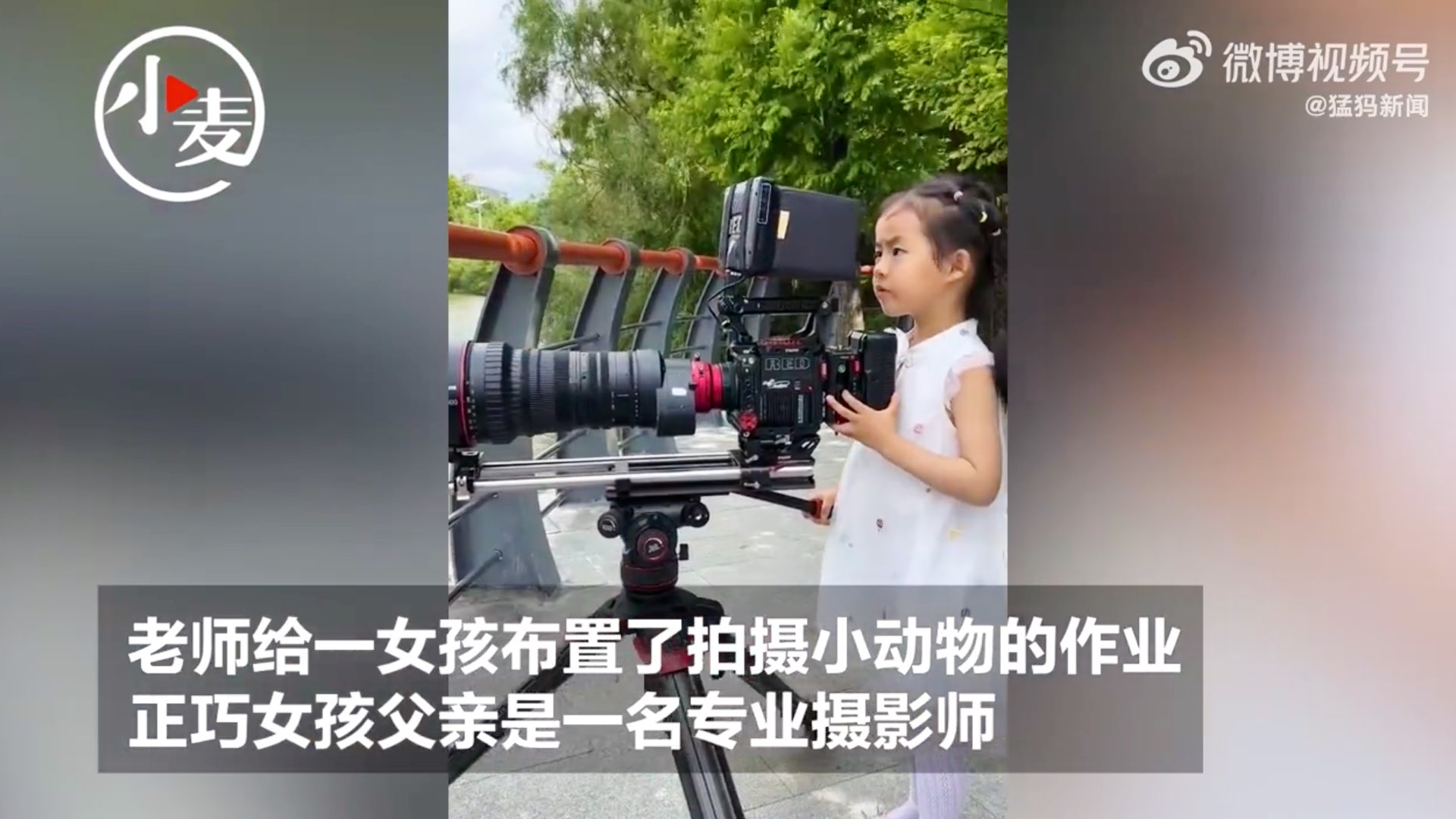 Meng Meng avec le V-Raptor et l'objectif Canon 50-1000mm Cine.  Photo : Weibo