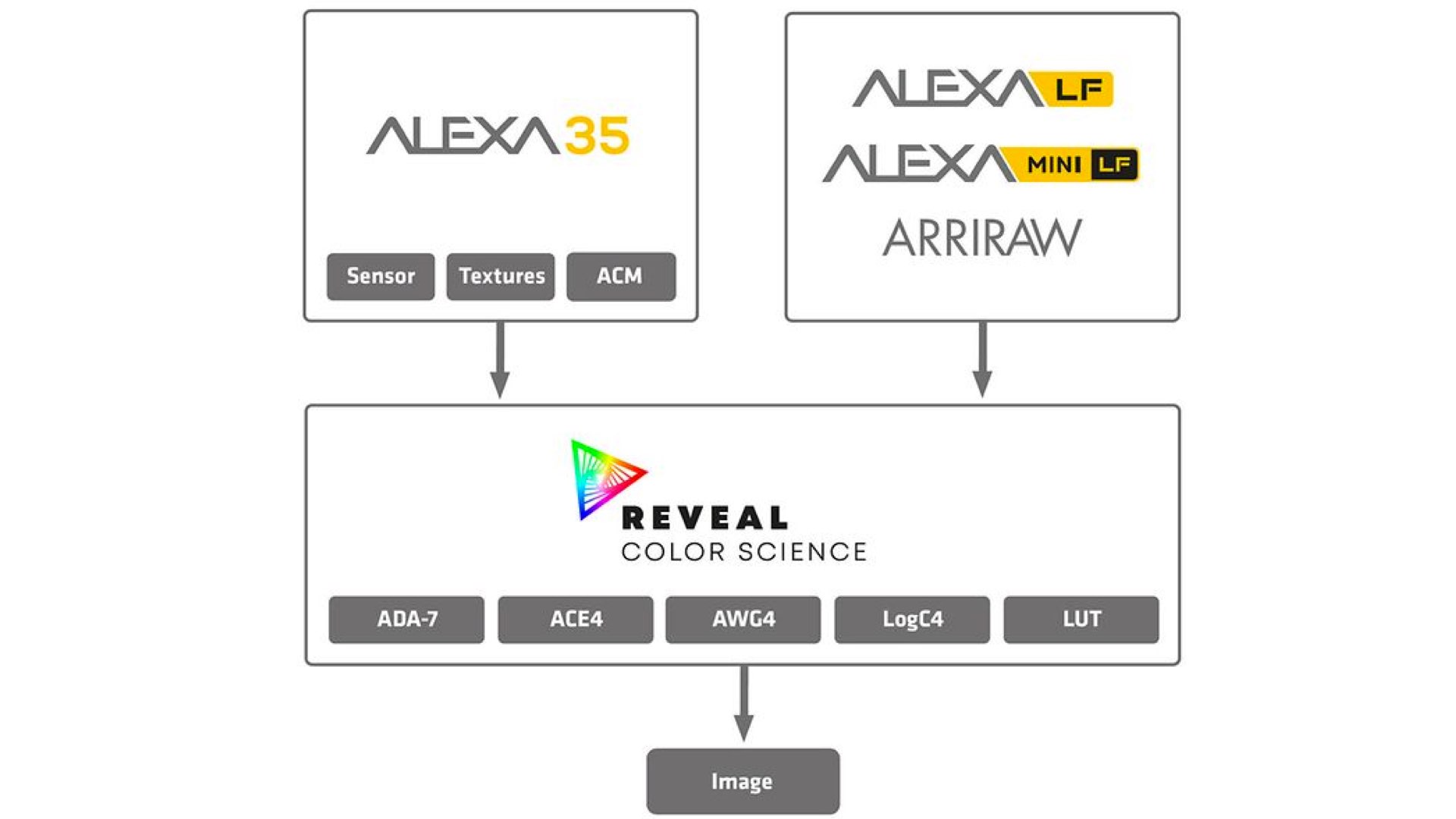 REVEAL color science et pipeline.  Image : ARRI