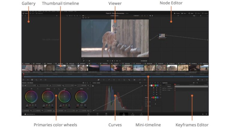 Blackmagic publie le guide du coloriste de DaVinci Resolve 18