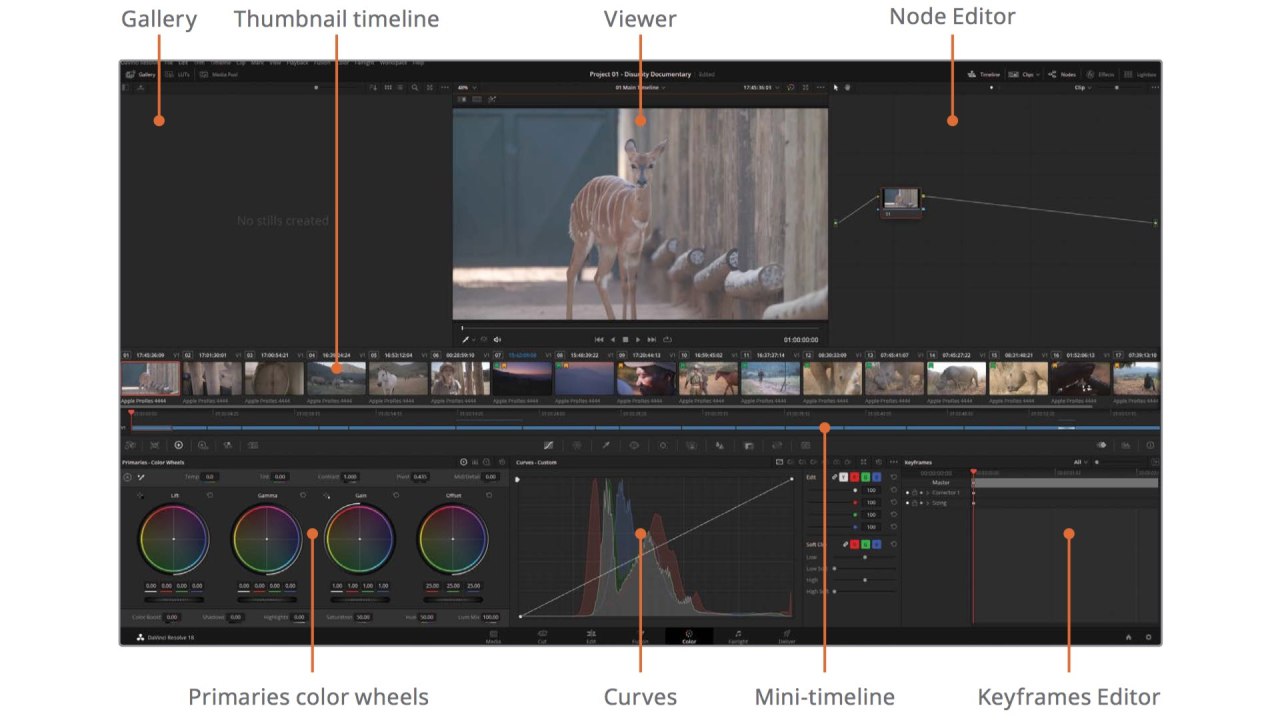 Le guide coloriste de DaVinci Resolve 18. Image : Blackmagic Design